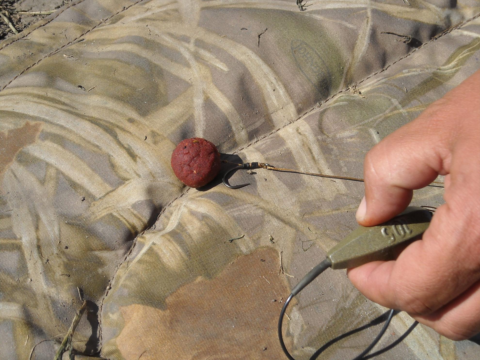 CN-2010-Chiroiu - dscn4565.jpg